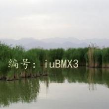 ÿ
